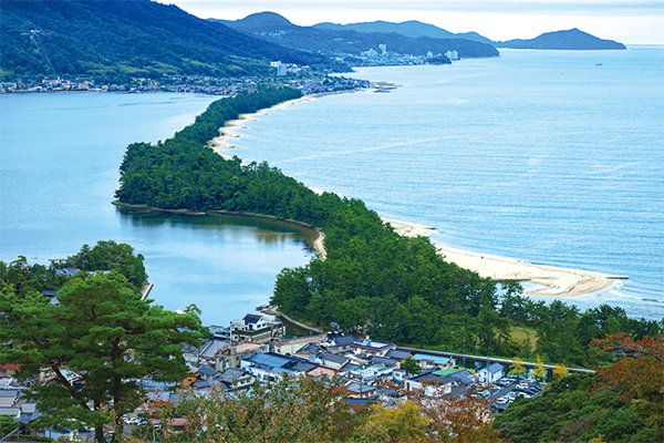 9812 日本三景「天橋立」松並木を現地ガイドと巡る～秋の天橋立通り抜けウォーク～