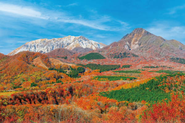 4461絶景！山陰のアルプス　日本屈指の名峰・大山の紅葉観賞！