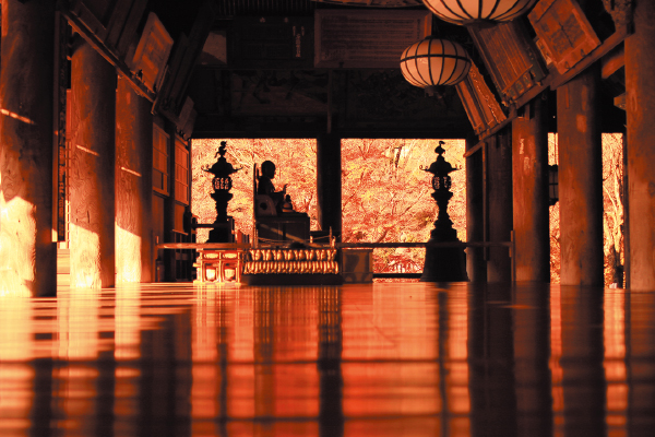 4481紅葉の談山神社と長谷寺の床もみじ