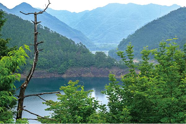 9821 ふるさと100山　11月　行者山