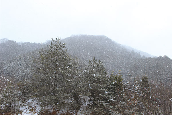 9833 ふるさと100山 粟鹿山（あわがやま）