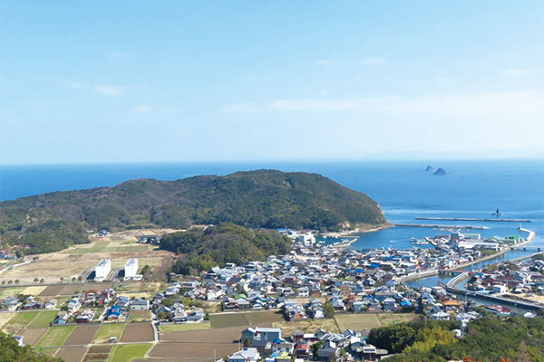 9834 ふるさと100山 引田（ひけた）城跡