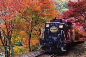 4450 嵯峨野トロッコ列車と京のランチ＆デザートビュッフェ！