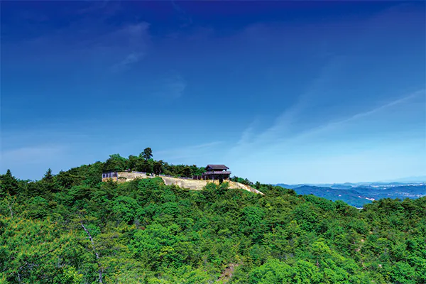 9800 日本100名城「鬼城山」から望む絶景　吉備路観光地ガイド付き